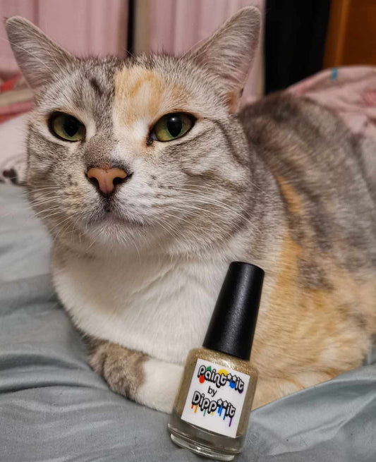 Kitoko