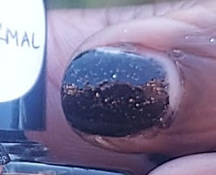 Game on, Mole